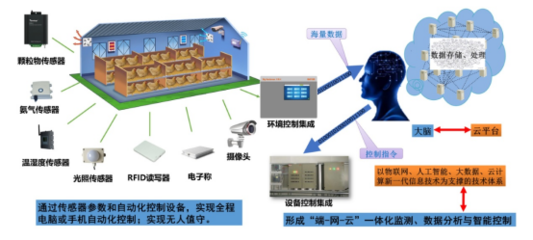 肉雞立體養殖技術指導意見 智能控制系統集成
